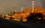 Robertson main street
